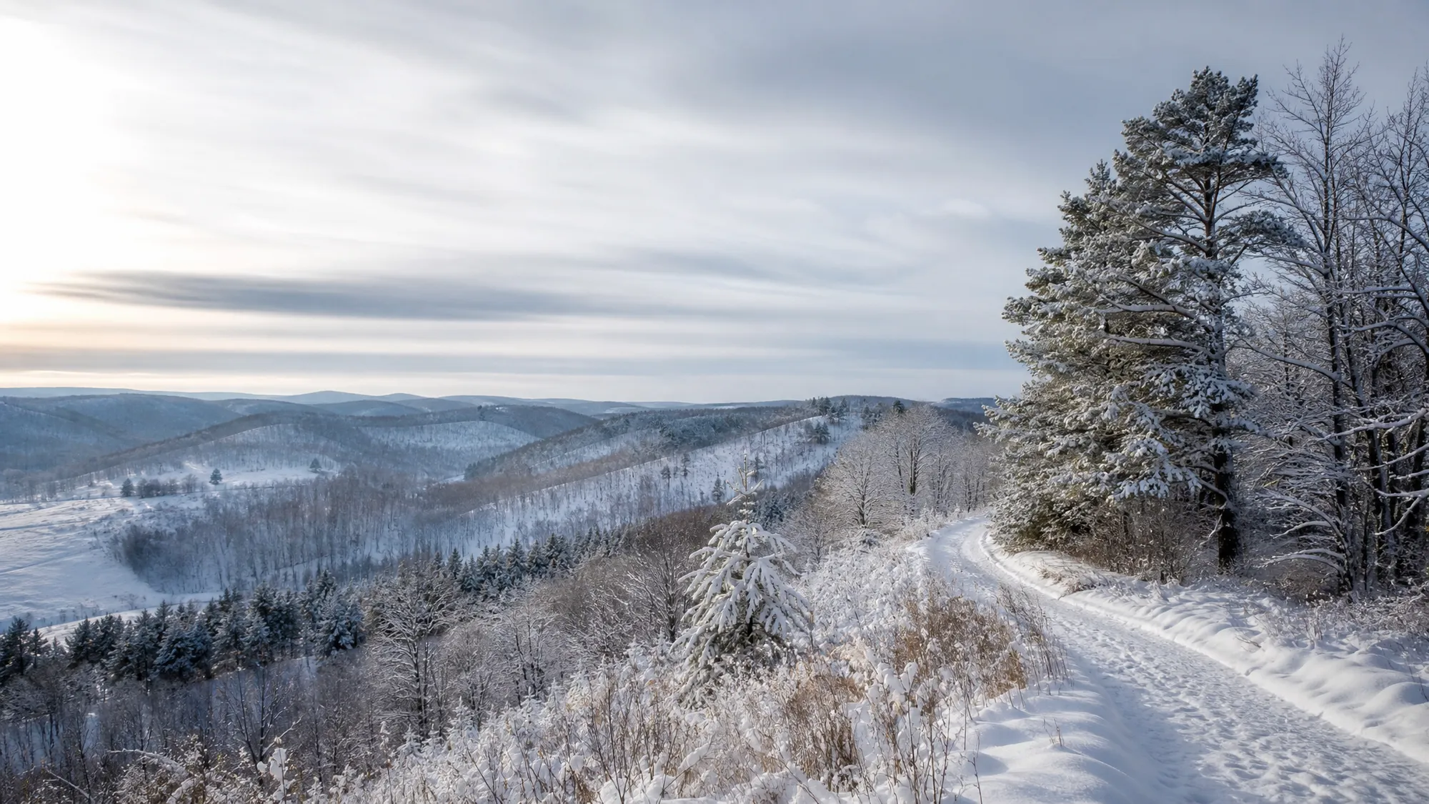 Northern Kettle Moraine in Campbellsport, WI in winter